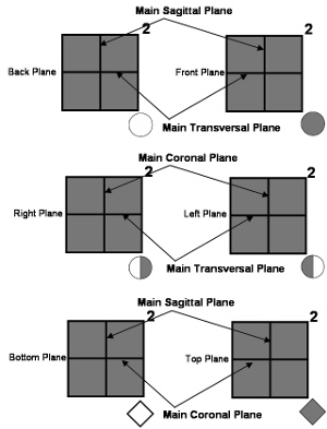 graph-corps-jongle-adapt-axes-2-small.png